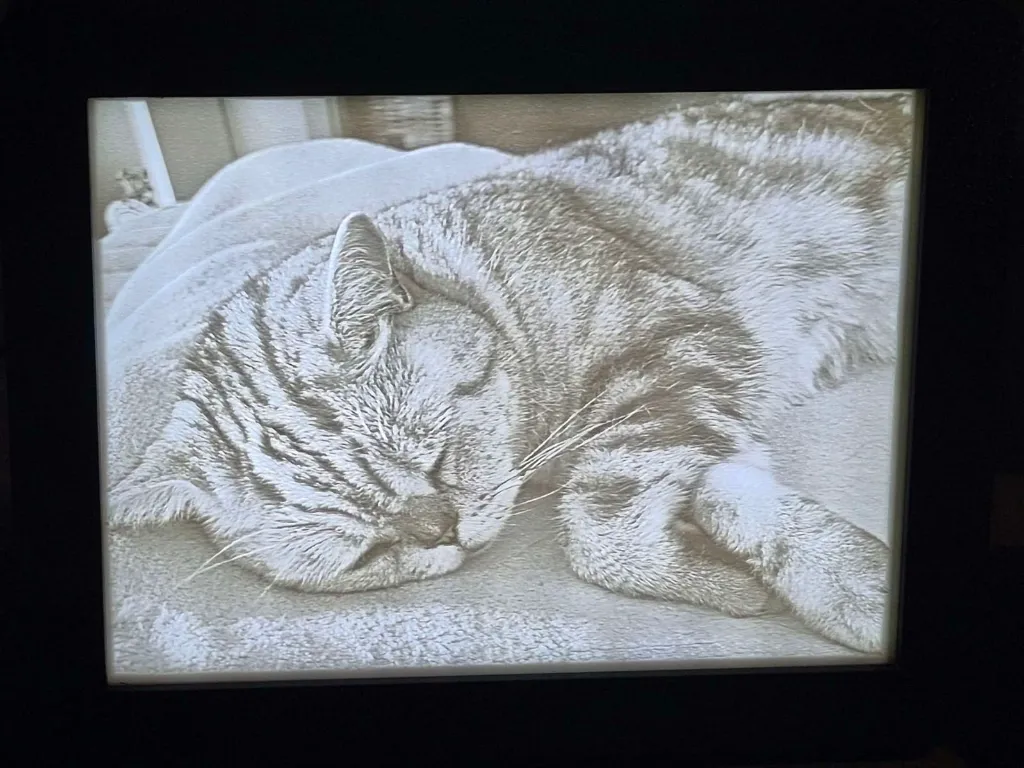 WhatsApp Image 2026-02-20 at 2.28.58 PM.webp