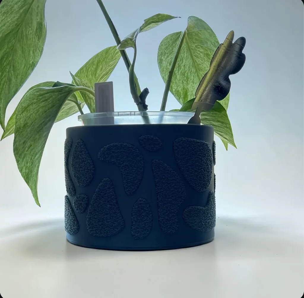 WhatsApp Image 2026-03-05 at 10.20.10 PM.webp